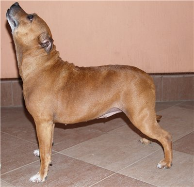 large
